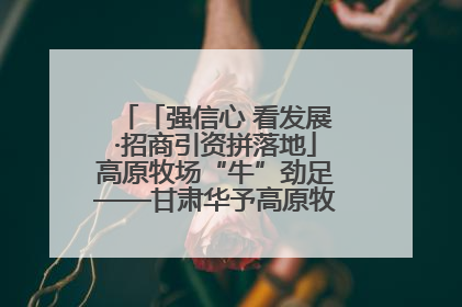 「强信心 看发展·招商引资拼落地」高原牧场“牛”劲足——甘肃华予高原牧场高标准奶牛肉牛养殖项目一线见闻