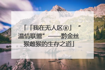 「我在无人区⑧」“温情联盟”——黔金丝猴雌猴的生存之道