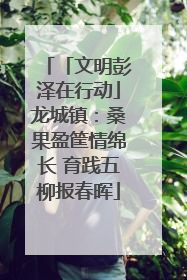 「文明彭泽在行动」龙城镇：桑果盈筐情绵长 育践五柳报春晖