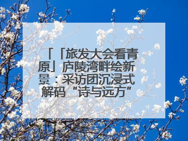 「旅发大会看青原」庐陵湾畔绘新景：采访团沉浸式解码“诗与远方”（图）