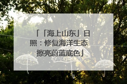 「海上山东」日照：修复海洋生态 擦亮蔚蓝底色