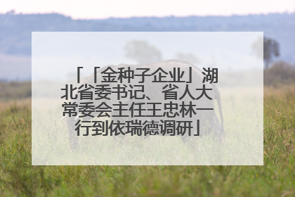 「金种子企业」湖北省委书记、省人大常委会主任王忠林一行到依瑞德调研