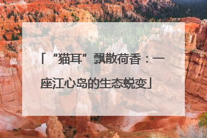 “猫耳”飘散荷香：一座江心岛的生态蜕变