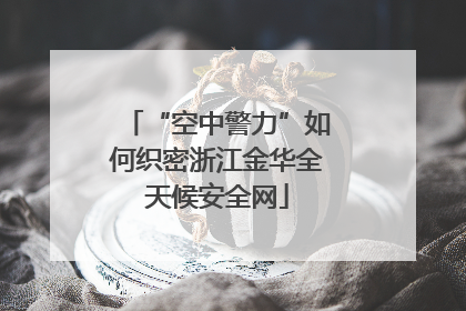 “空中警力”如何织密浙江金华全天候安全网