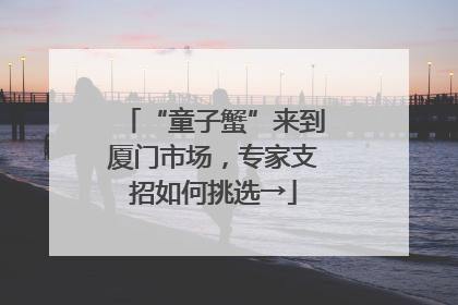 “童子蟹”来到厦门市场，专家支招如何挑选→