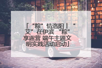 “粽”情洛阳丨“艾”在伊滨 “粽”享露营 端午主题文明实践活动启动