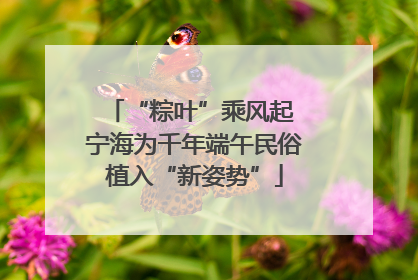 “粽叶”乘风起 宁海为千年端午民俗植入“新姿势”