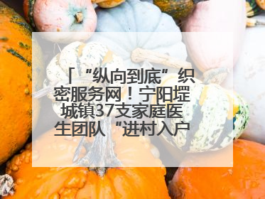 “纵向到底”织密服务网！宁阳堽城镇37支家庭医生团队“进村入户”，让健康政策“落地生根”
