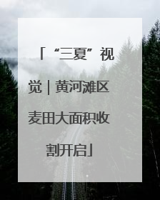 “三夏”视觉｜黄河滩区麦田大面积收割开启