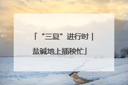 “三夏”进行时｜盐碱地上插秧忙