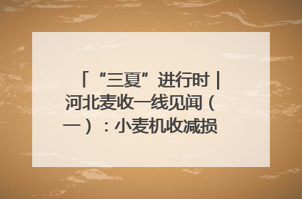 “三夏”进行时｜河北麦收一线见闻（一）：小麦机收减损“竞技” 农机高手麦田“过招”