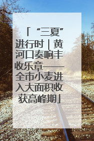 “三夏”进行时｜黄河口奏响丰收乐章——全市小麦进入大面积收获高峰期