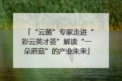 “云菌”专家走进“彩云英才荟”解读“一朵蘑菇”的产业未来