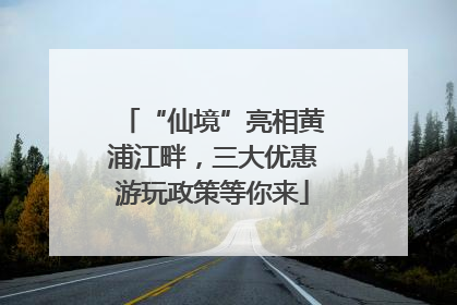 “仙境”亮相黄浦江畔，三大优惠游玩政策等你来