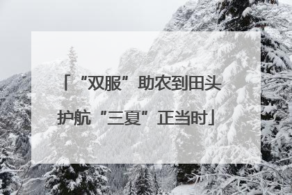 “双服”助农到田头 护航“三夏”正当时