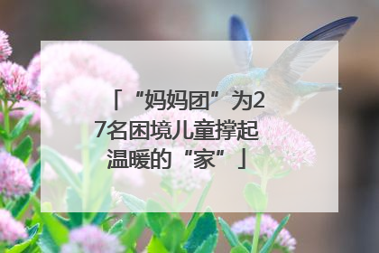 “妈妈团”为27名困境儿童撑起温暖的“家”
