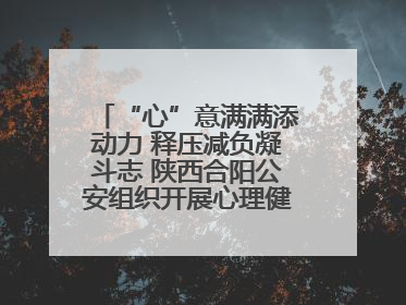 “心”意满满添动力 释压减负凝斗志 陕西合阳公安组织开展心理健康团体辅导活动