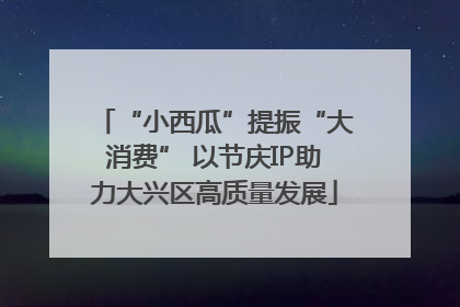 “小西瓜”提振“大消费” 以节庆IP助力大兴区高质量发展