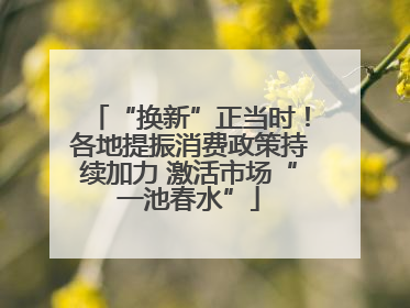 “换新”正当时！各地提振消费政策持续加力 激活市场“一池春水”