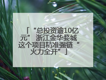 “总投资逾10亿元” 浙江金华婺城这个项目精准强链“火力全开”