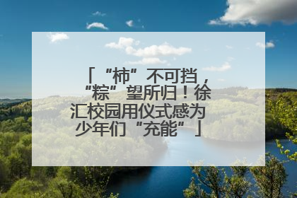 “柿”不可挡，“粽”望所归！徐汇校园用仪式感为少年们“充能”