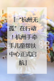“杭州无孤”在行动！杭州手牵手儿童帮扶中心正式启航