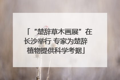“楚辞草木画展”在长沙举行 专家为楚辞植物提供科学考据