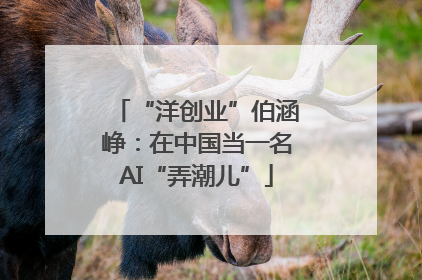 “洋创业”伯涵峥：在中国当一名AI“弄潮儿”