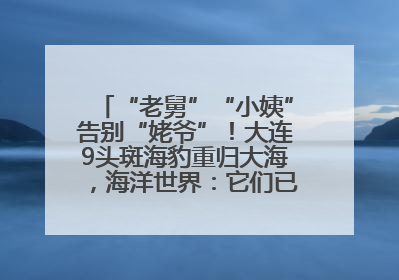 “老舅”“小姨”告别“姥爷”！大连9头斑海豹重归大海，海洋世界：它们已具备野外生存能力