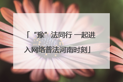 “豫”法同行 一起进入网络普法河南时刻