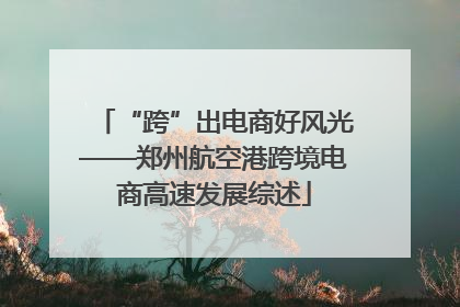 “跨”出电商好风光——郑州航空港跨境电商高速发展综述