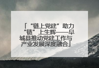 “链上党建”助力“链”上生辉——阜城县推动党建工作与产业发展深度融合