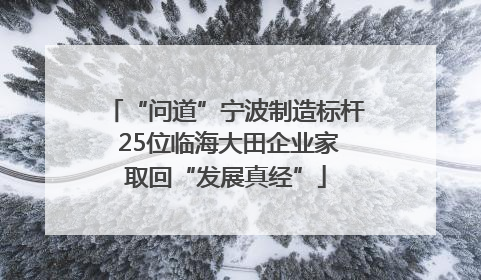 “问道”宁波制造标杆 25位临海大田企业家取回“发展真经”