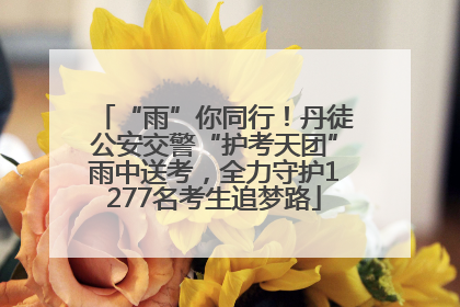 “雨”你同行！丹徒公安交警“护考天团”雨中送考，全力守护1277名考生追梦路