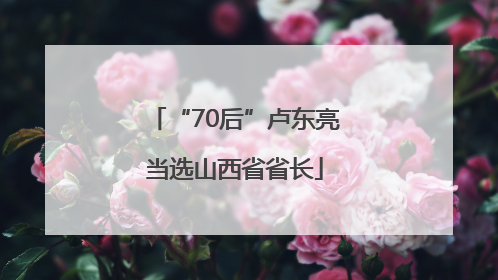 “70后”卢东亮当选山西省省长