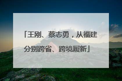 王刚、蔡志勇，从福建分别跨省、跨境履新
