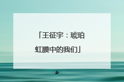 王征宇：琥珀虹膜中的我们