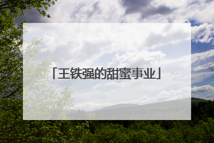 王铁强的甜蜜事业