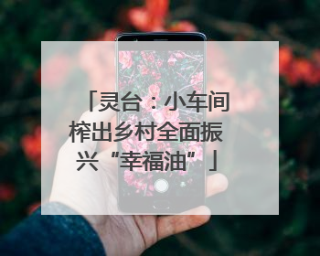 灵台：小车间榨出乡村全面振兴“幸福油”