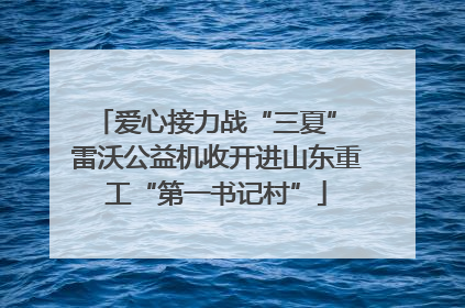 爱心接力战“三夏” 雷沃公益机收开进山东重工“第一书记村”