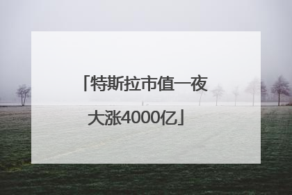 特斯拉市值一夜大涨4000亿