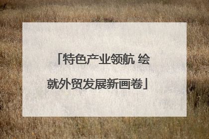 特色产业领航 绘就外贸发展新画卷
