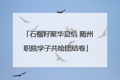 石榴籽聚华夏情 随州职院学子共绘团结卷
