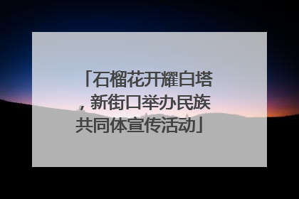 石榴花开耀白塔，新街口举办民族共同体宣传活动