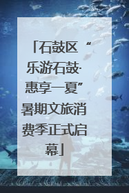 石鼓区“乐游石鼓·惠享一夏”暑期文旅消费季正式启幕