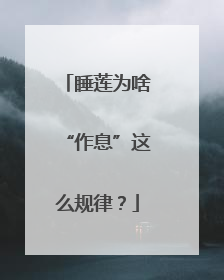 睡莲为啥“作息”这么规律？