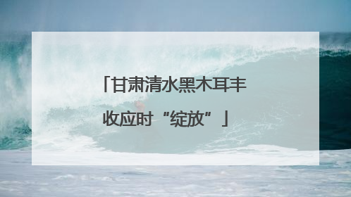 甘肃清水黑木耳丰收应时“绽放”