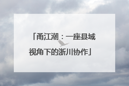 甬江潮：一座县域视角下的浙川协作