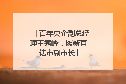 百年央企副总经理王秀峰，履新直辖市副市长