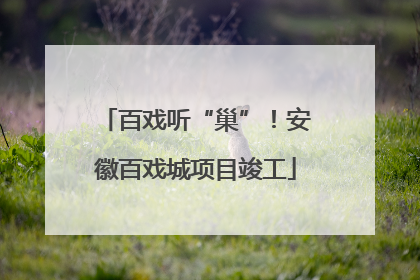 百戏听“巢”！安徽百戏城项目竣工